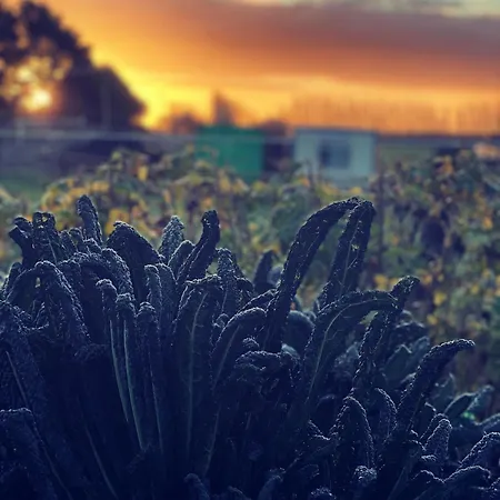 منزل للإقامة Chezwise Eircode H91 Ff2k