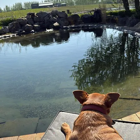 Chezwise Eircode H91 Ff2k منزل للإقامة *