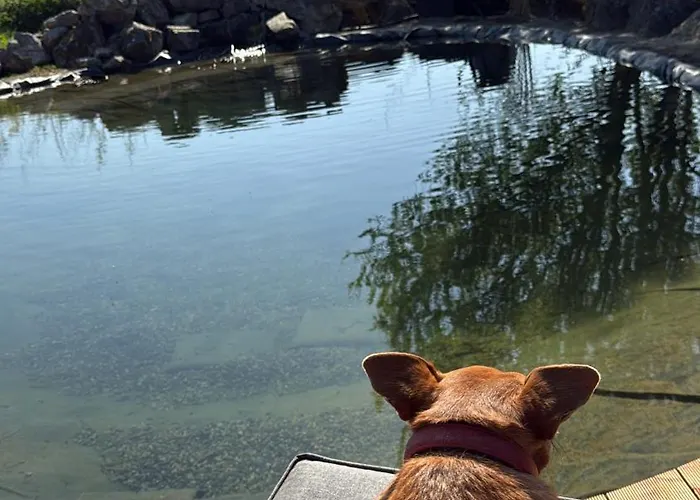 Chezwise Eircode H91 Ff2k Rum i privatbostad *