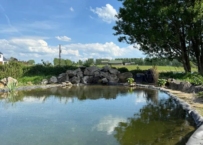 Chezwise Eircode H91 Ff2k Проживание в семье